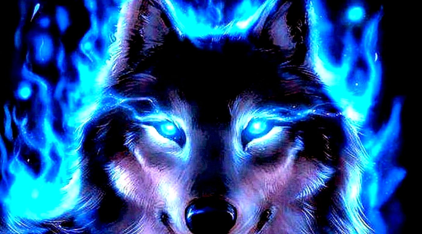 Best Wolf Wallpaper Wallpapersafari - Best Picture Of Wolf - HD Wallpaper 