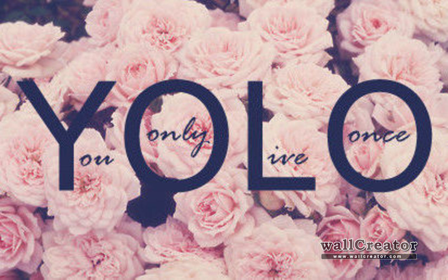 1440 / 900 Wallpaper - Yolo Wallpaper Desktop - HD Wallpaper 