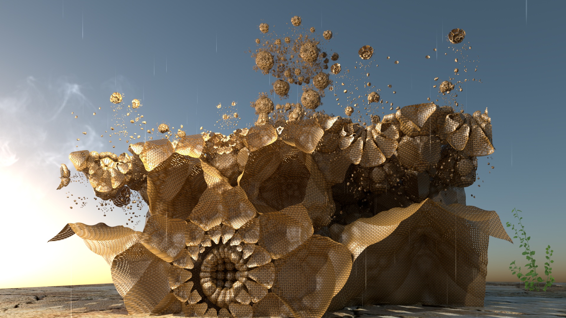 Hydrangea - HD Wallpaper 