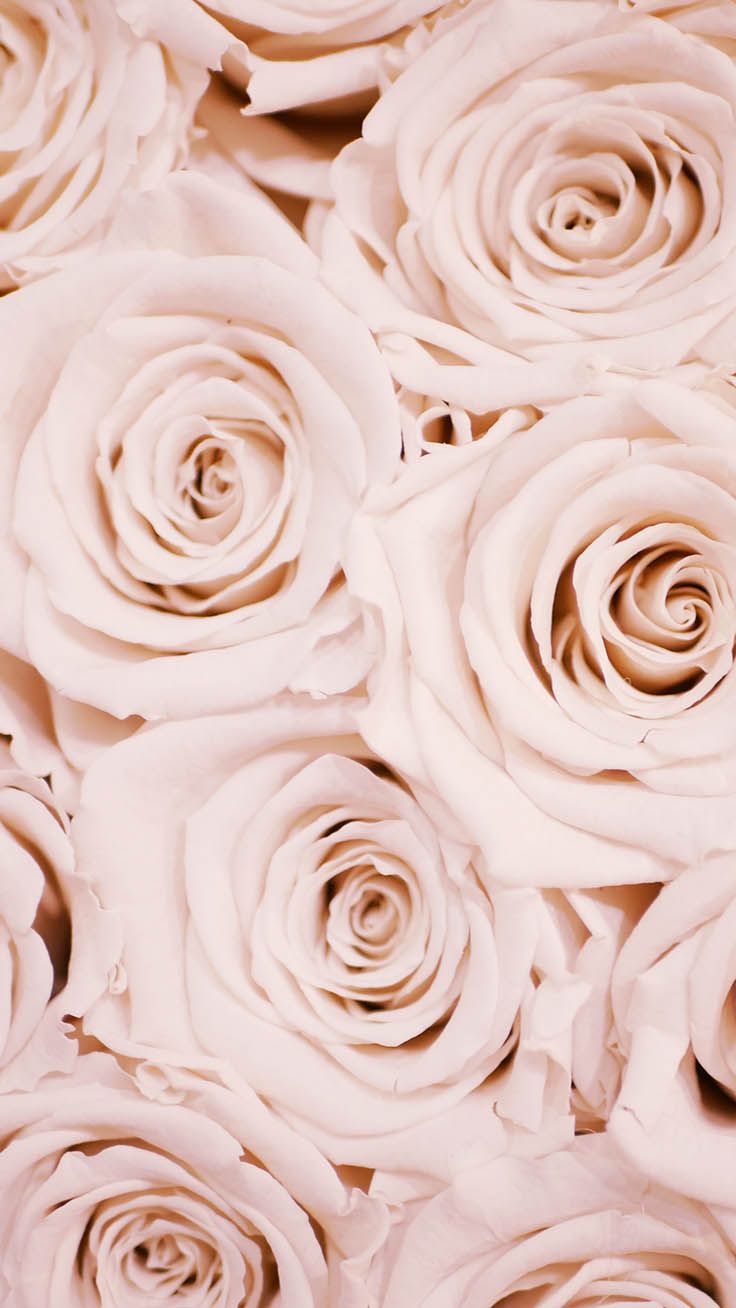 Rose Gold Cute Backgrounds - 736x1308 Wallpaper 