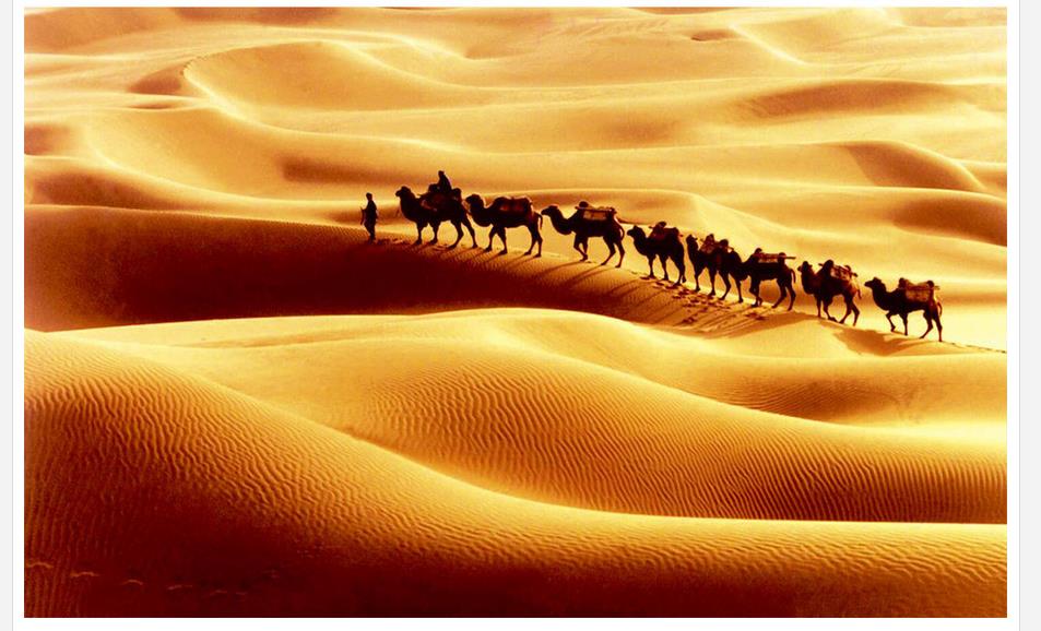 Arba Een Imam Hussain - HD Wallpaper 