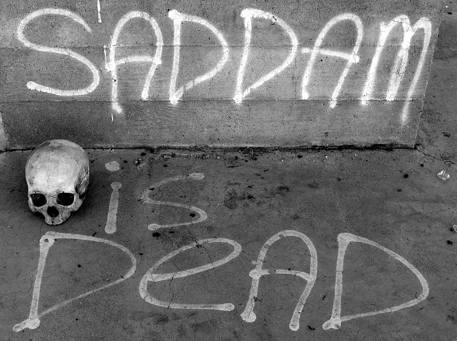 Skull, Human, Human Skull, Death, Dead, Saddam, Saddam - Skull - HD Wallpaper 