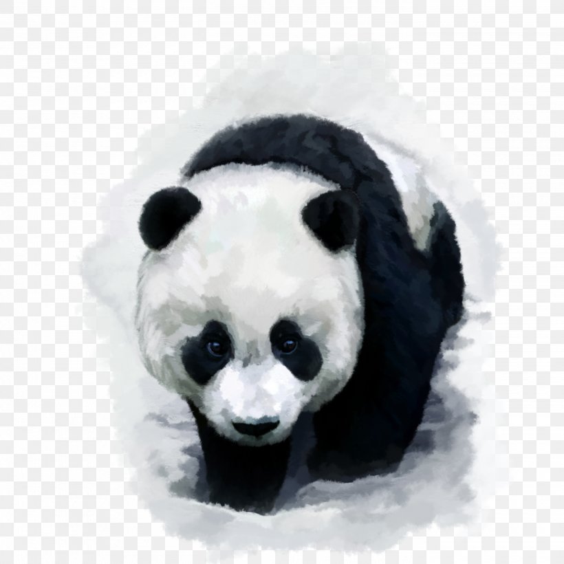 Giant Panda Bear Red Panda Desktop Wallpaper Baby Pandas Panda Bear Wallpaper For Iphone 0x0 Wallpaper Teahub Io