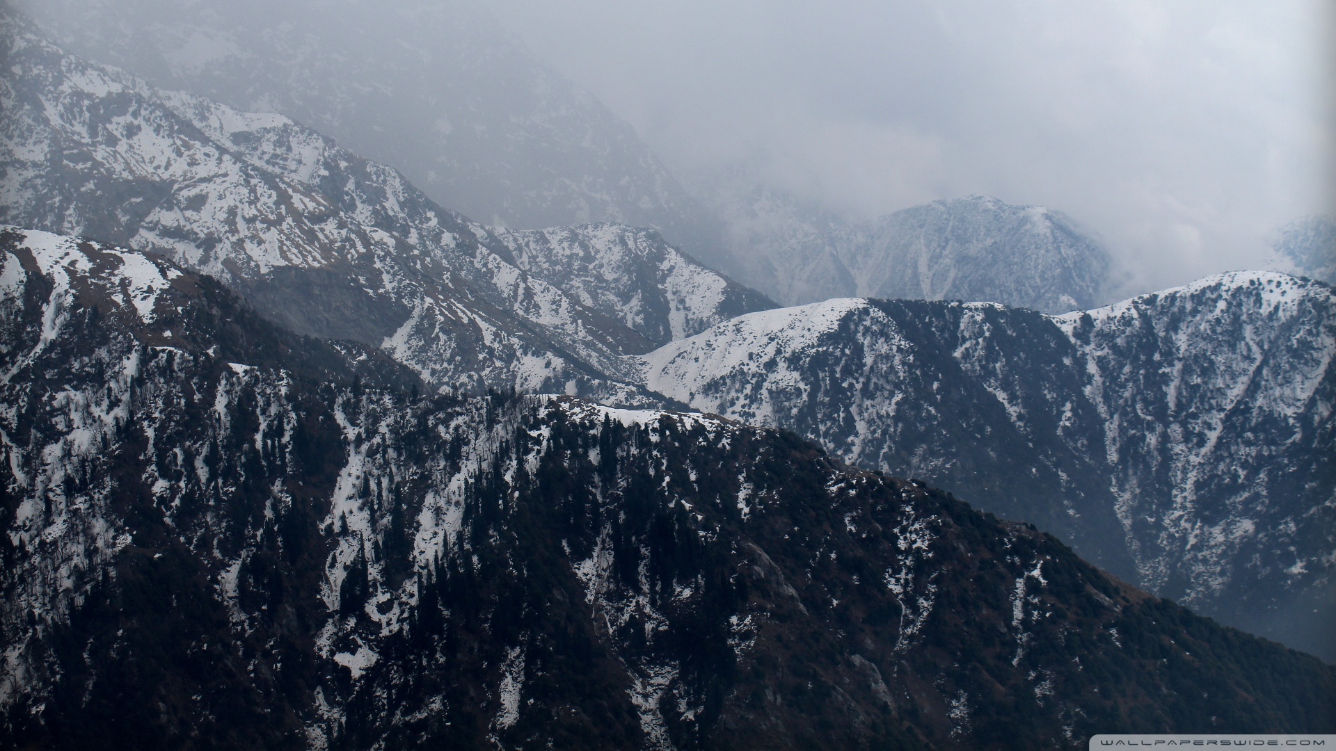 Mobile Phone - HD Wallpaper 