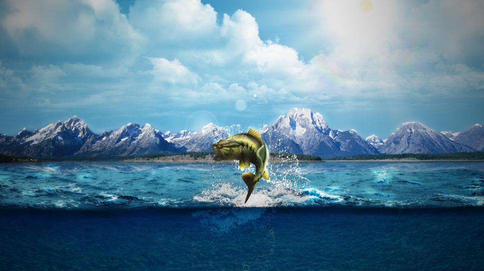 Fish, Sea, Sea Monsters, Mount Everest, Mountains, - Sea - HD Wallpaper 