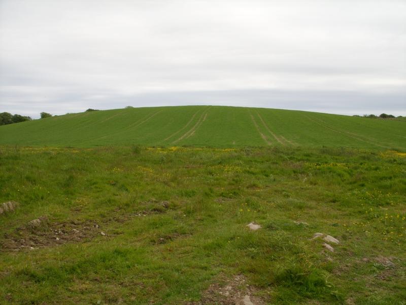 Windows Xp Bliss Tiff - HD Wallpaper 