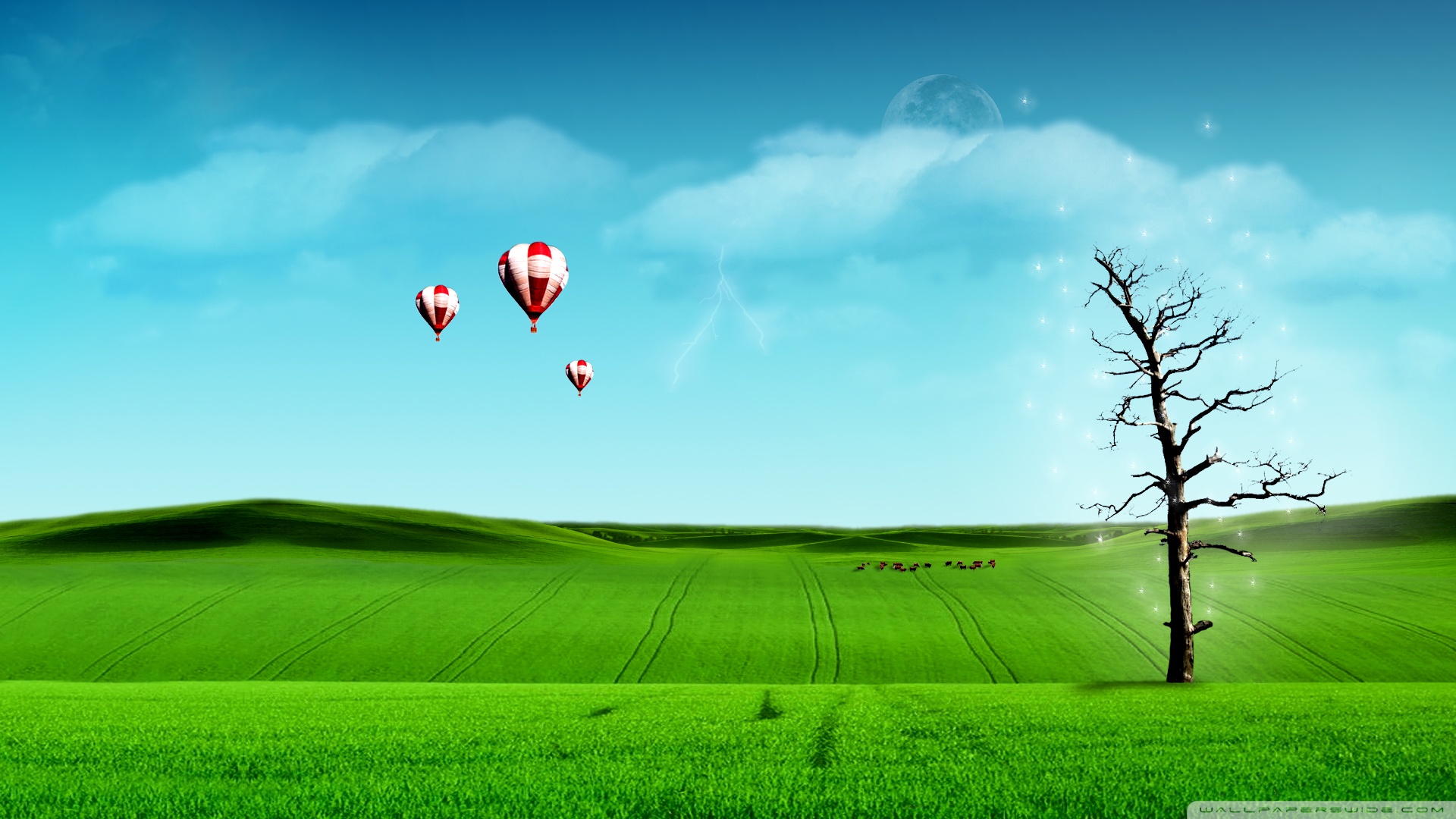 Graphic Design - HD Wallpaper 