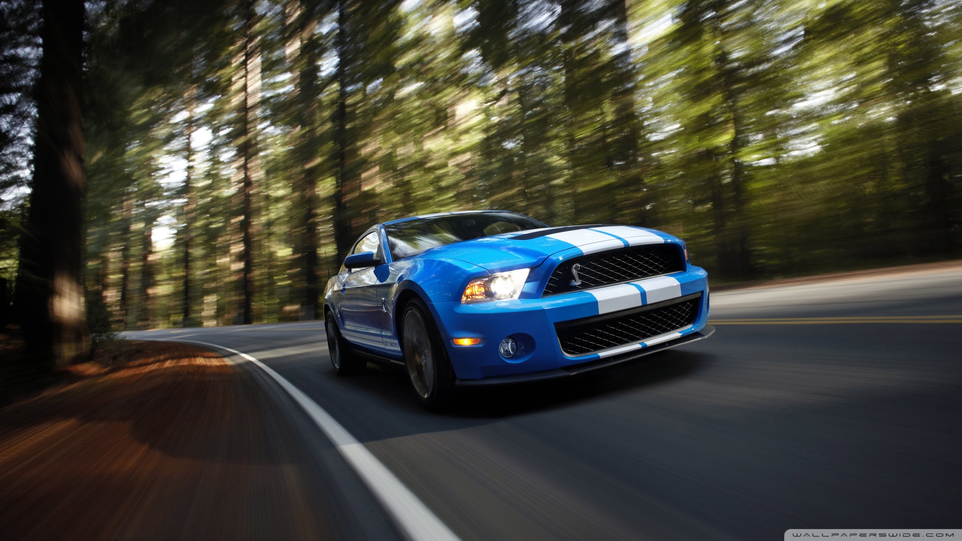 Ford Shelby Gt500 2 Wallpaper - Shelby Gt500 Wallpaper Pc - HD Wallpaper 