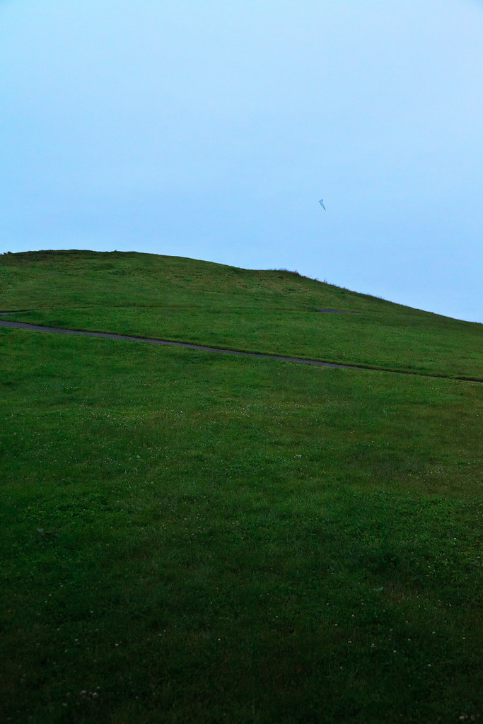 Grass - 683x1024 Wallpaper - teahub.io