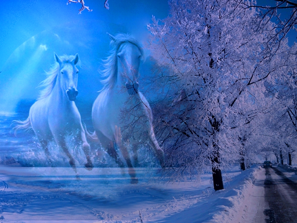 Animal Right Click On The Choose Set As Windows Xp - Horses In Winter - HD Wallpaper 