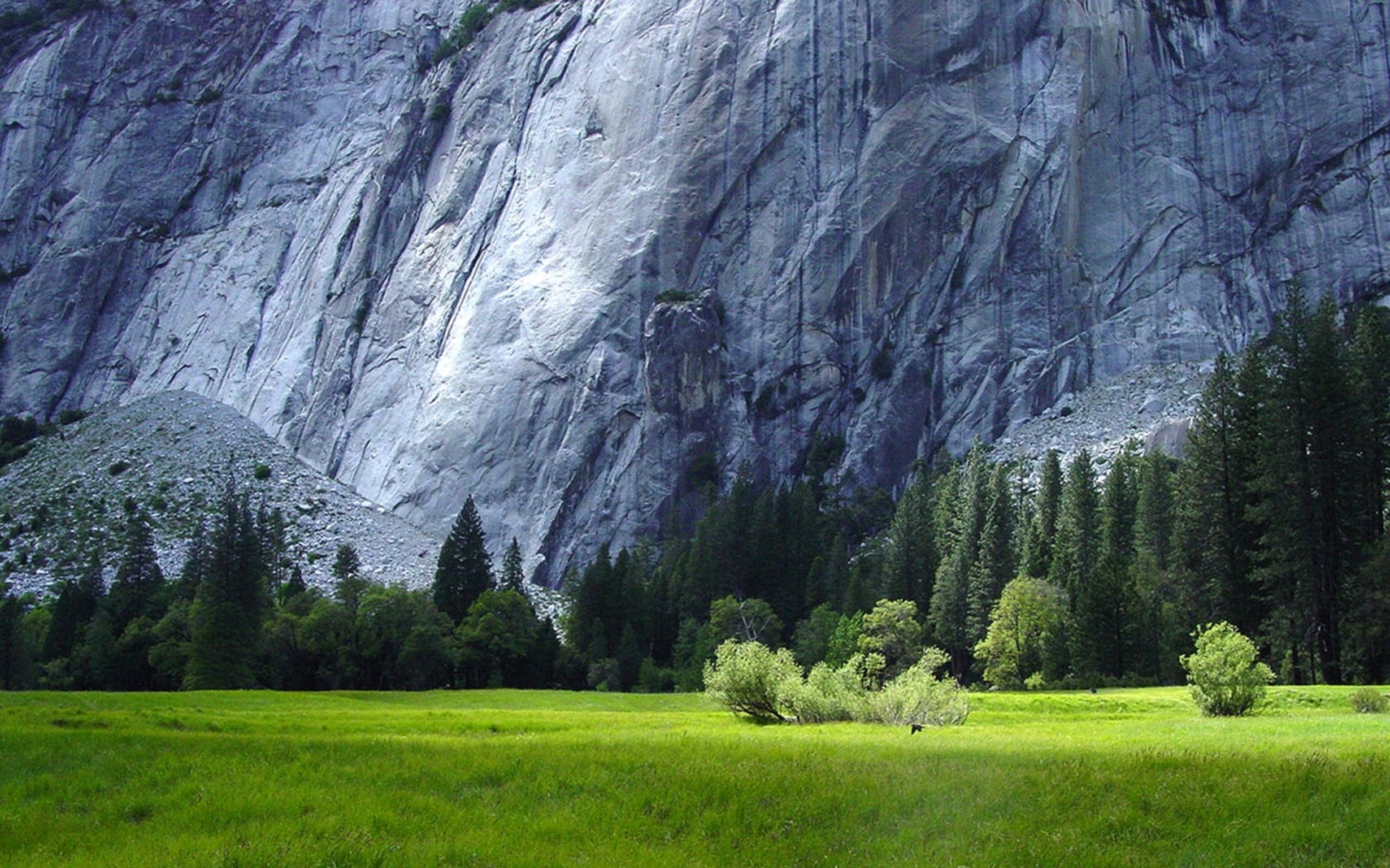 2560x1600, 10237) Windows 7 Nature Desktop Hd Wallpaper - Yosemite National Park - HD Wallpaper 