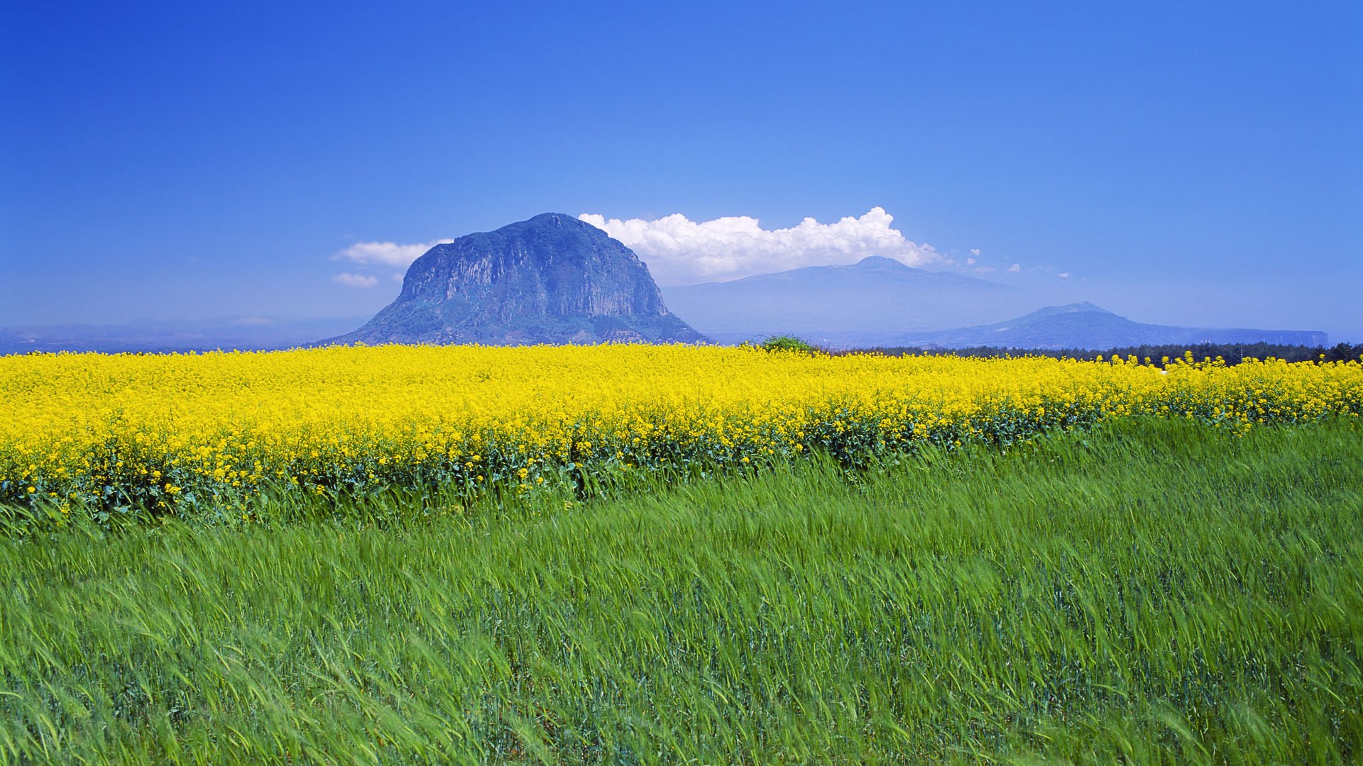 Hd Beautiful Asia - Jeju Island Korea - HD Wallpaper 