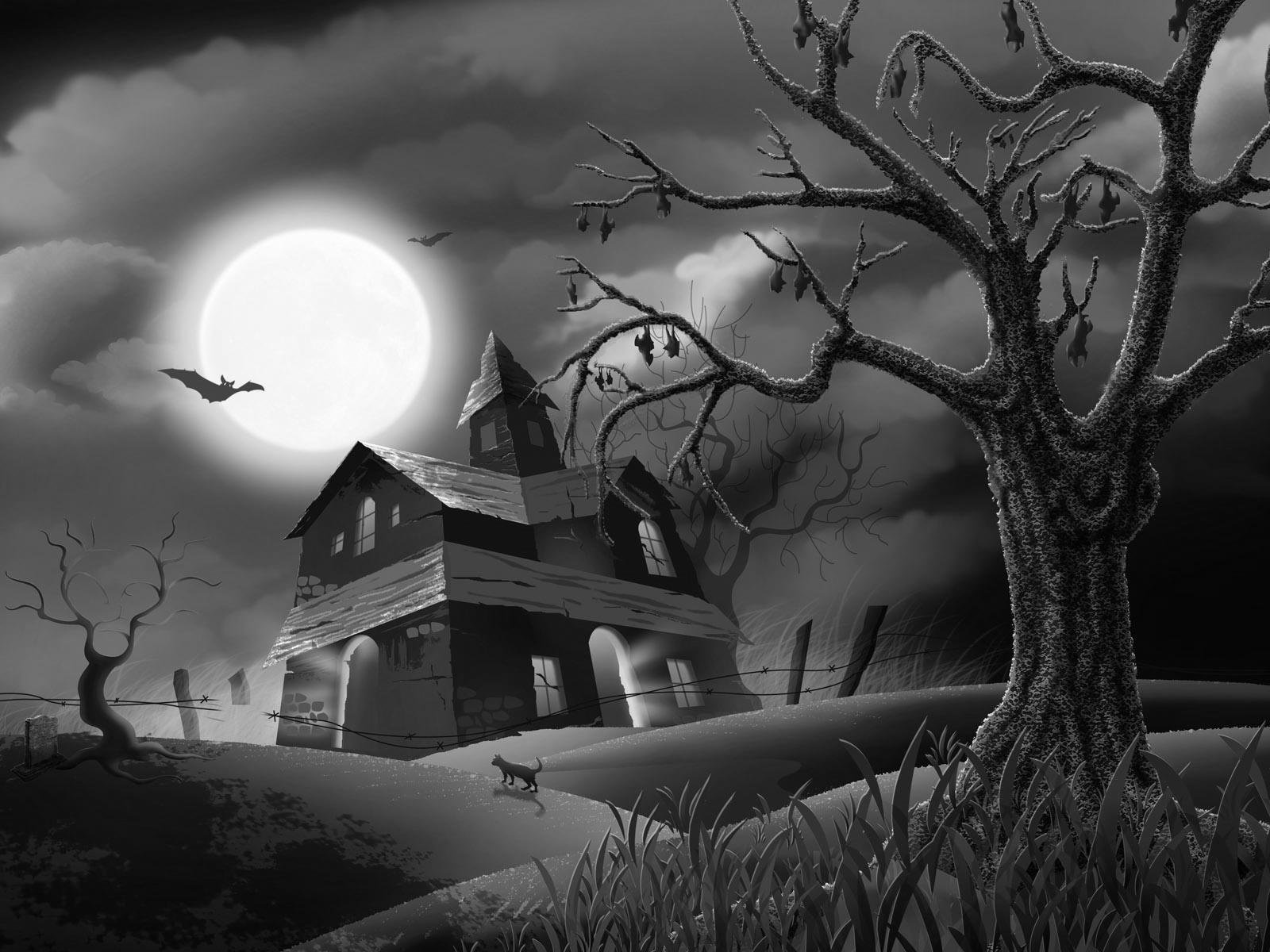 Fondo De Halloween En Hd - HD Wallpaper 