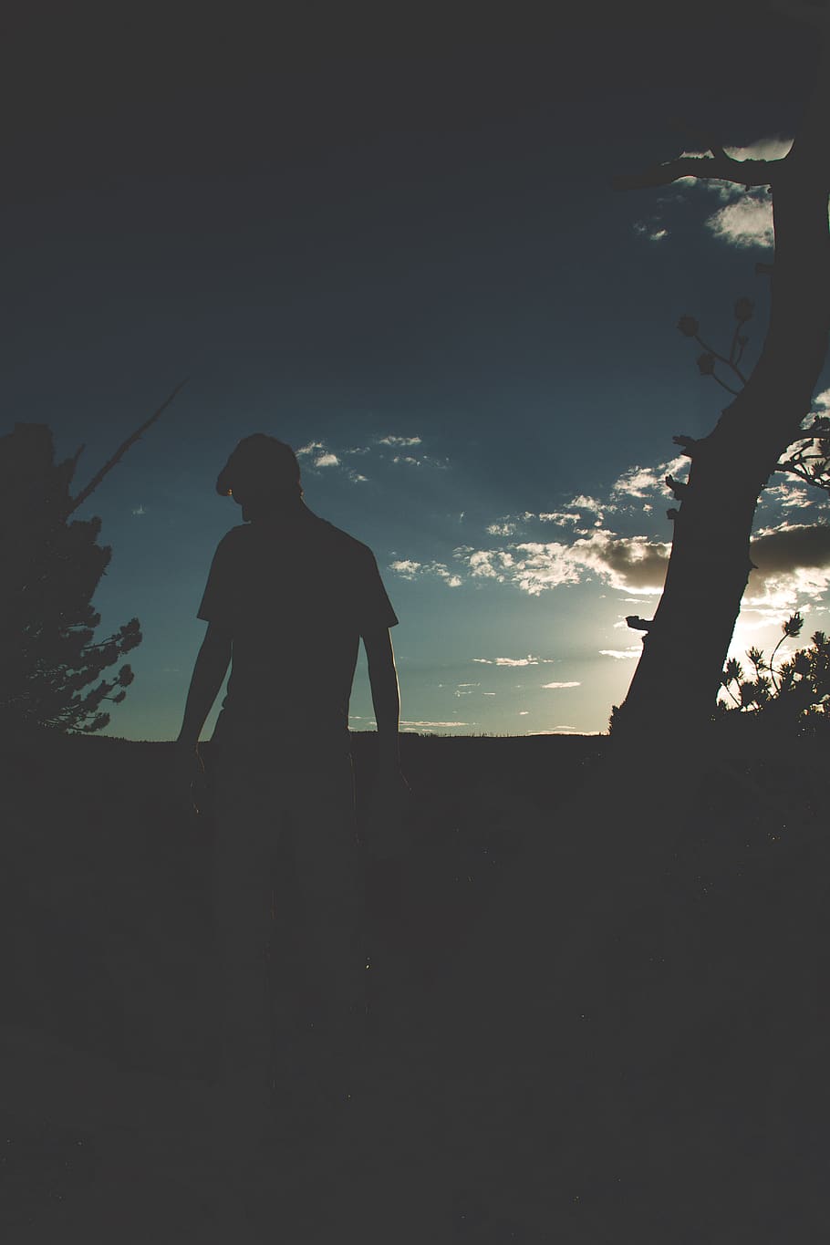 Yellowstone, Sunrise, Nature, Sunset, Wallpaper, Silhouette, - HD Wallpaper 