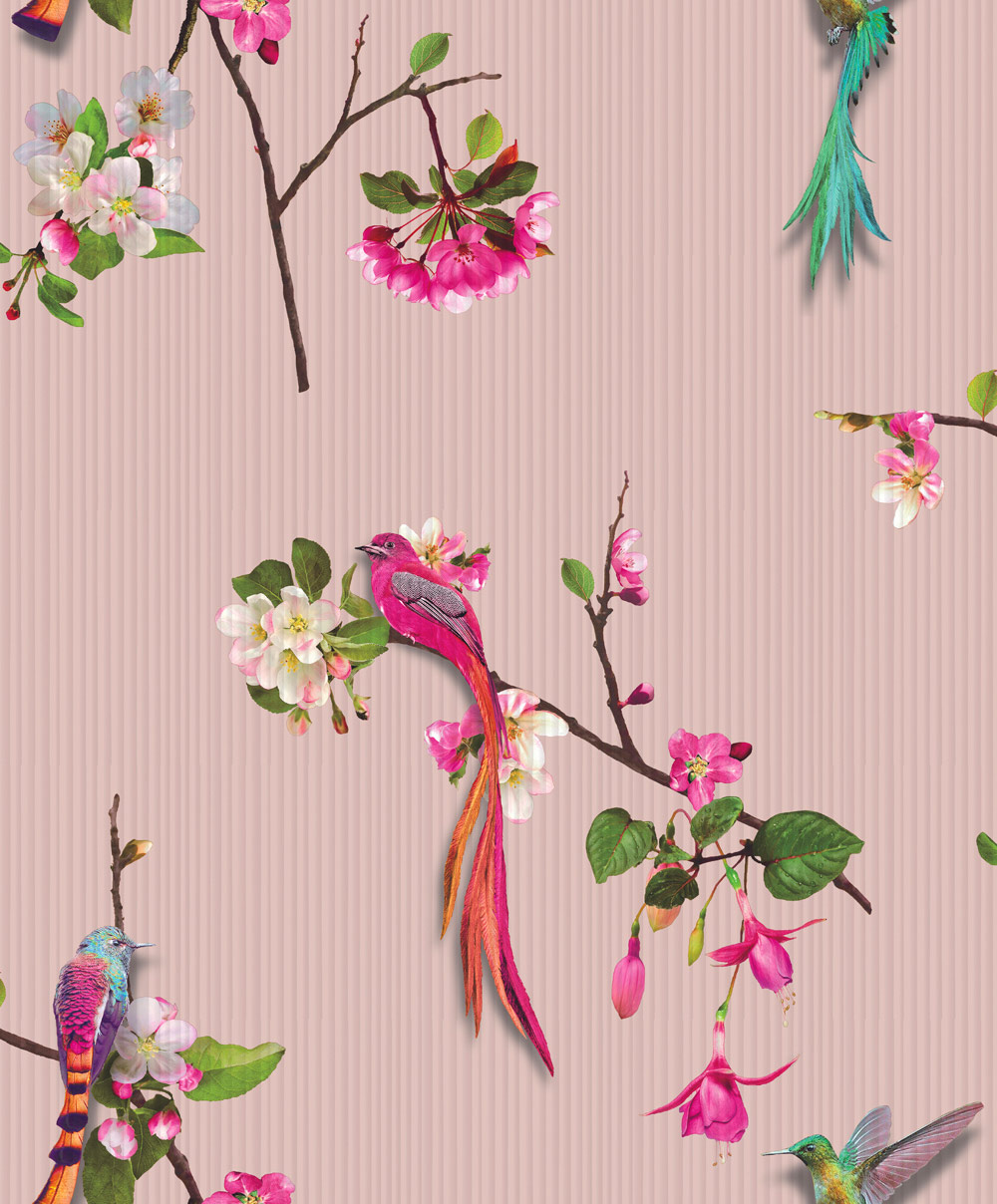 Chinese Oriental Bird - HD Wallpaper 