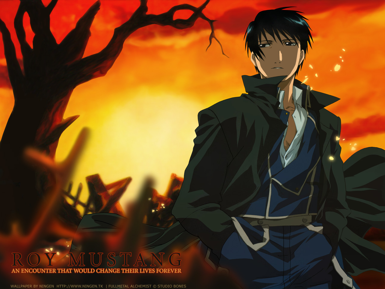 Fullmetal Alchemist Wallpaper Roy Mustang - HD Wallpaper 