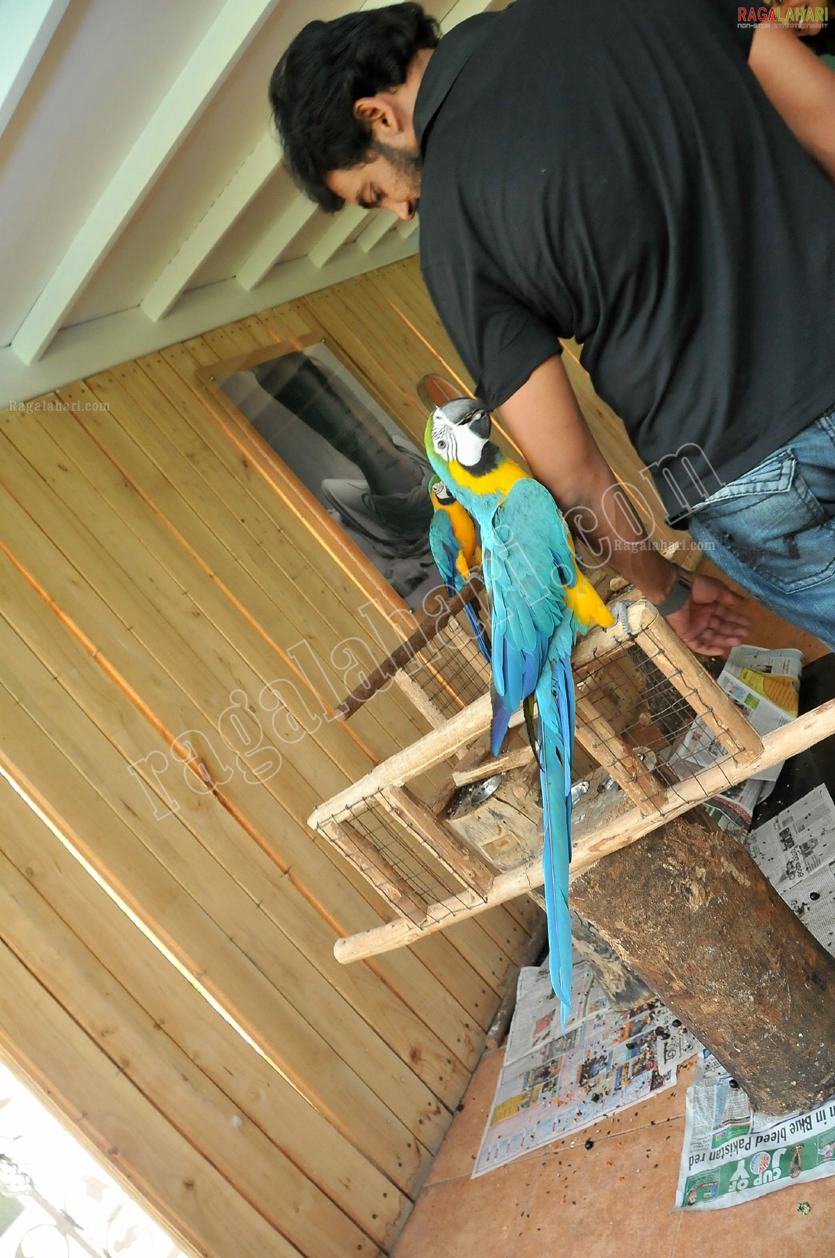 Plank - HD Wallpaper 