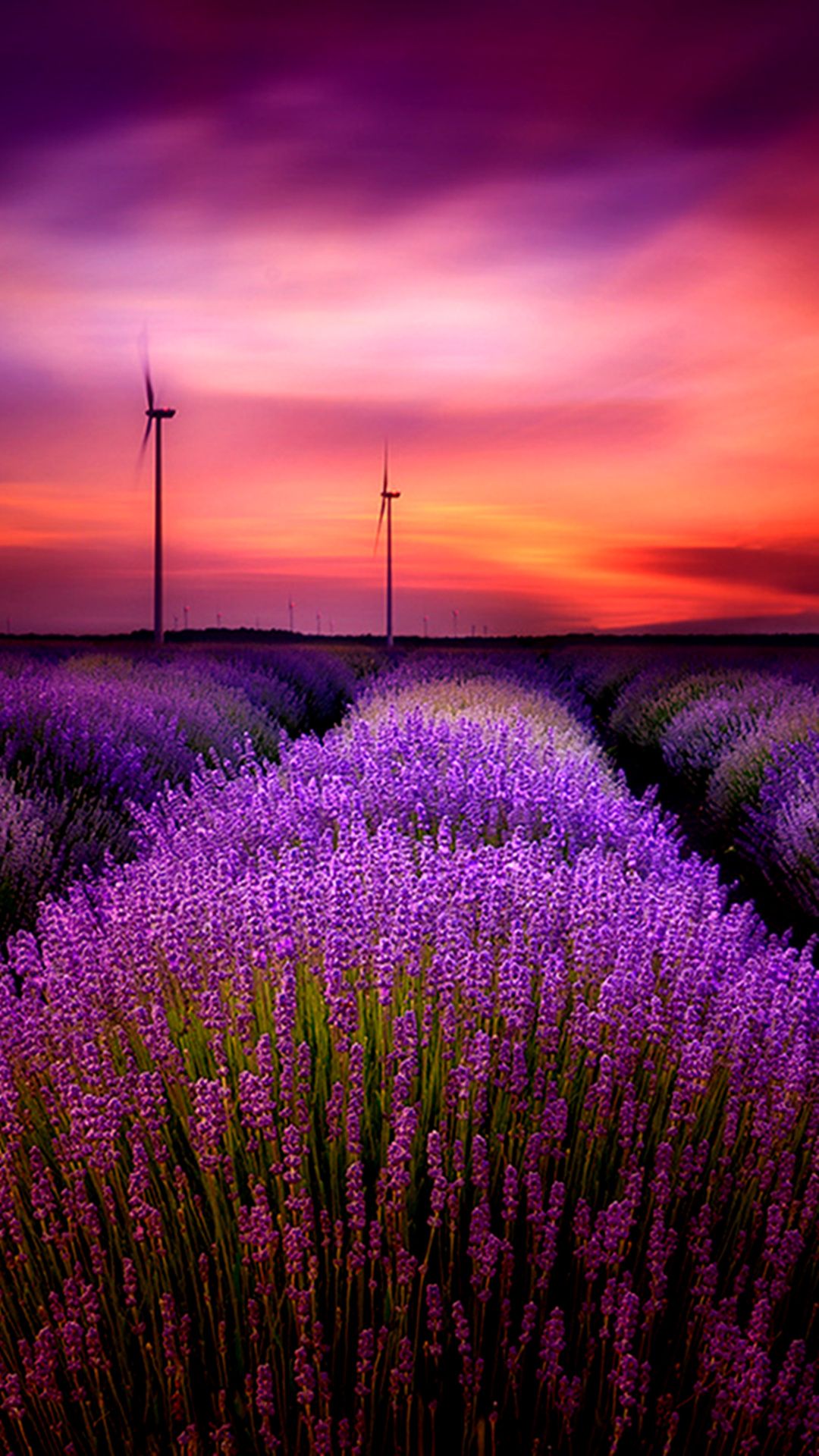 Lavender Wallpaper Hd Phone - HD Wallpaper 