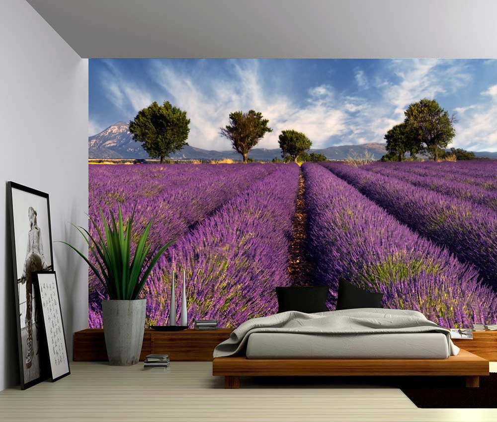 Provence France - HD Wallpaper 