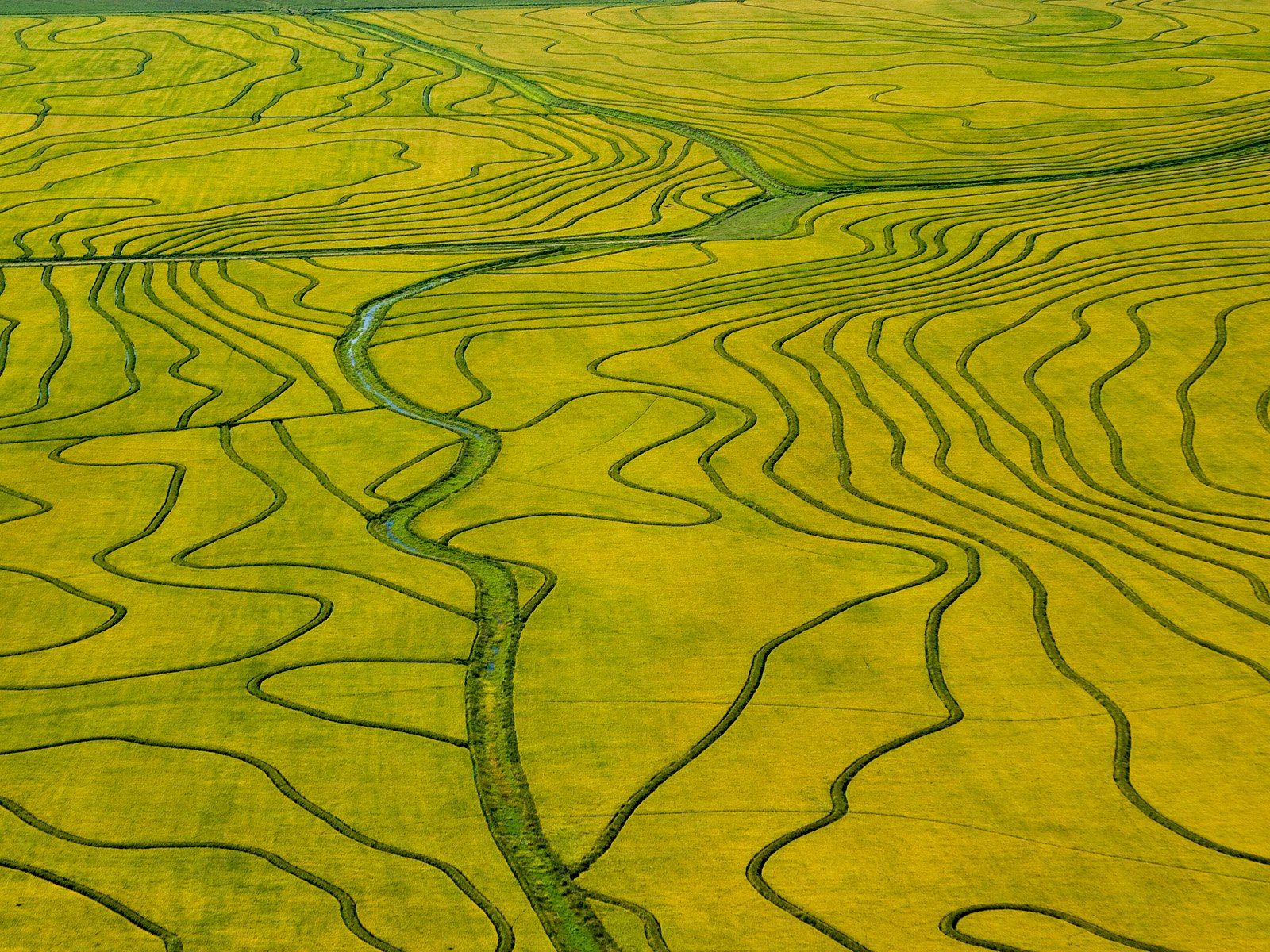 Rice Fields Aerial View - HD Wallpaper 