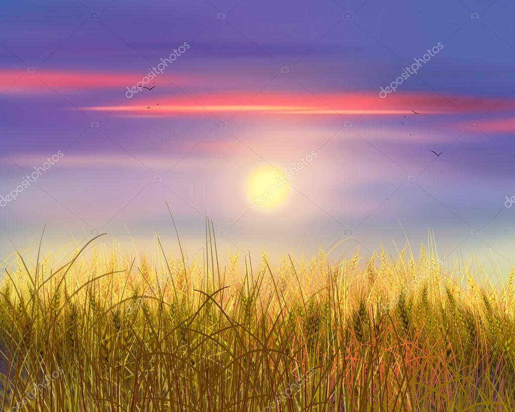 Campo De Trigo Pintura - HD Wallpaper 