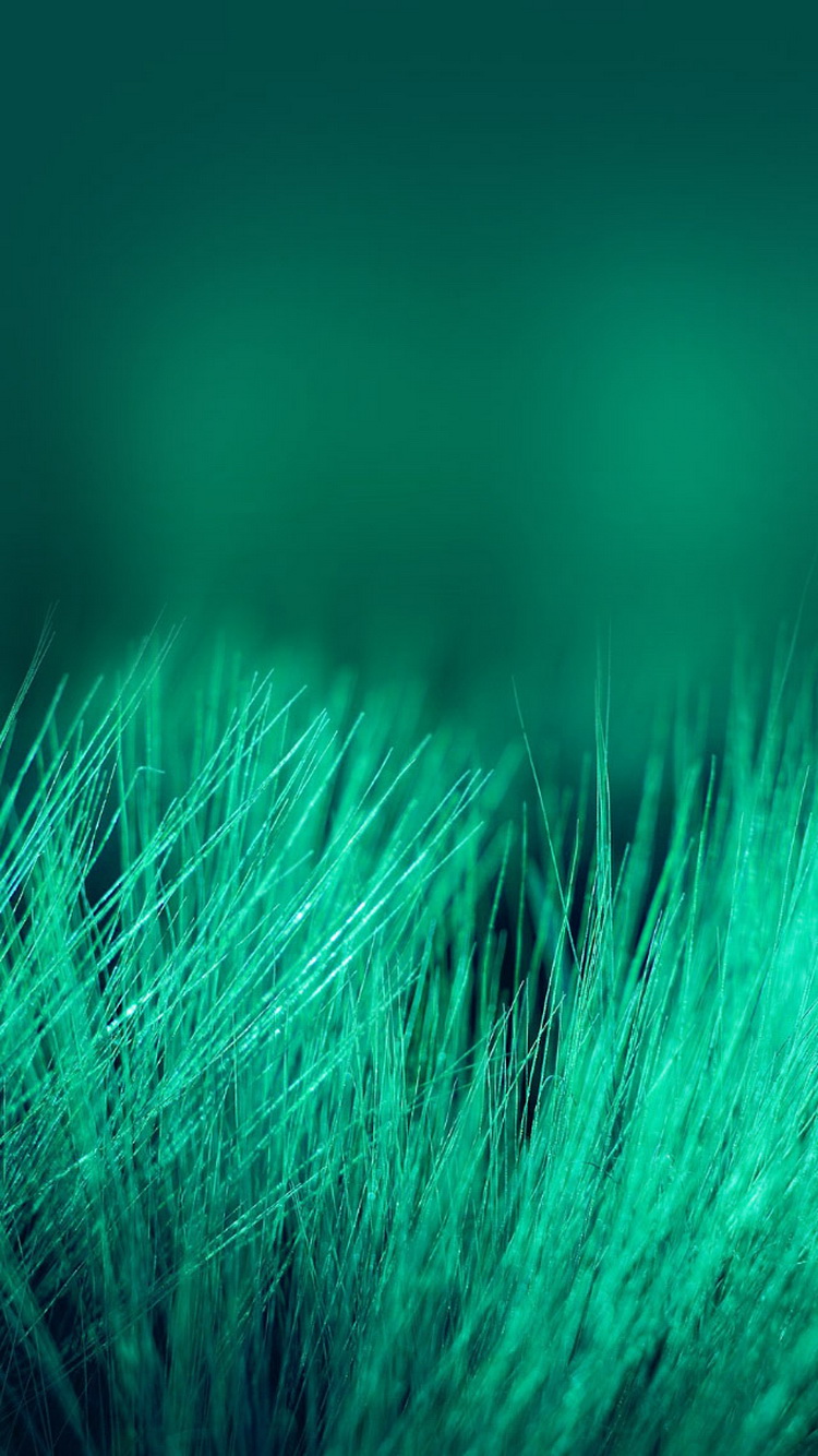 Beautiful Wallpaper For Iphone Green - HD Wallpaper 