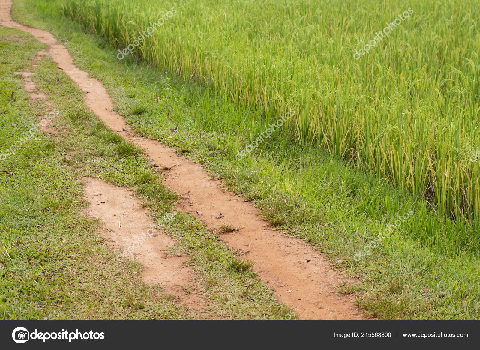 Stock Photography - HD Wallpaper 