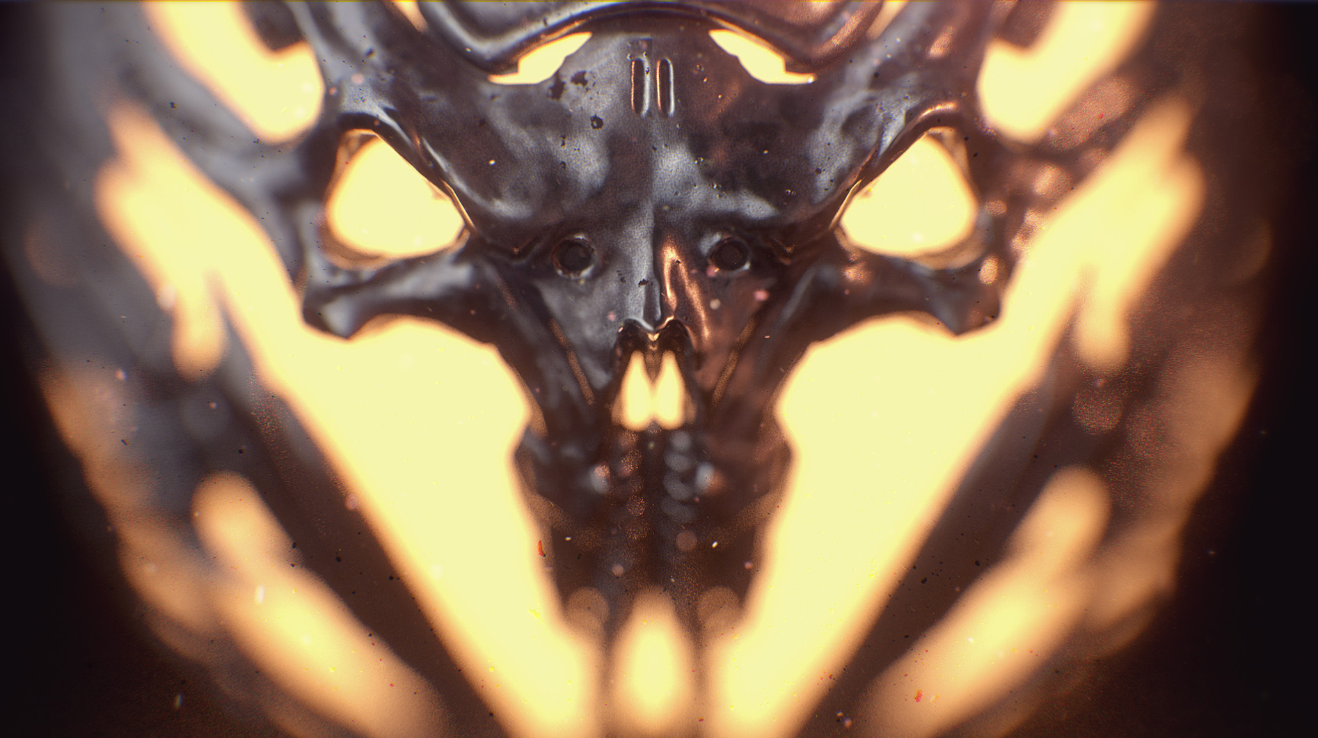 Macro Photography - HD Wallpaper 