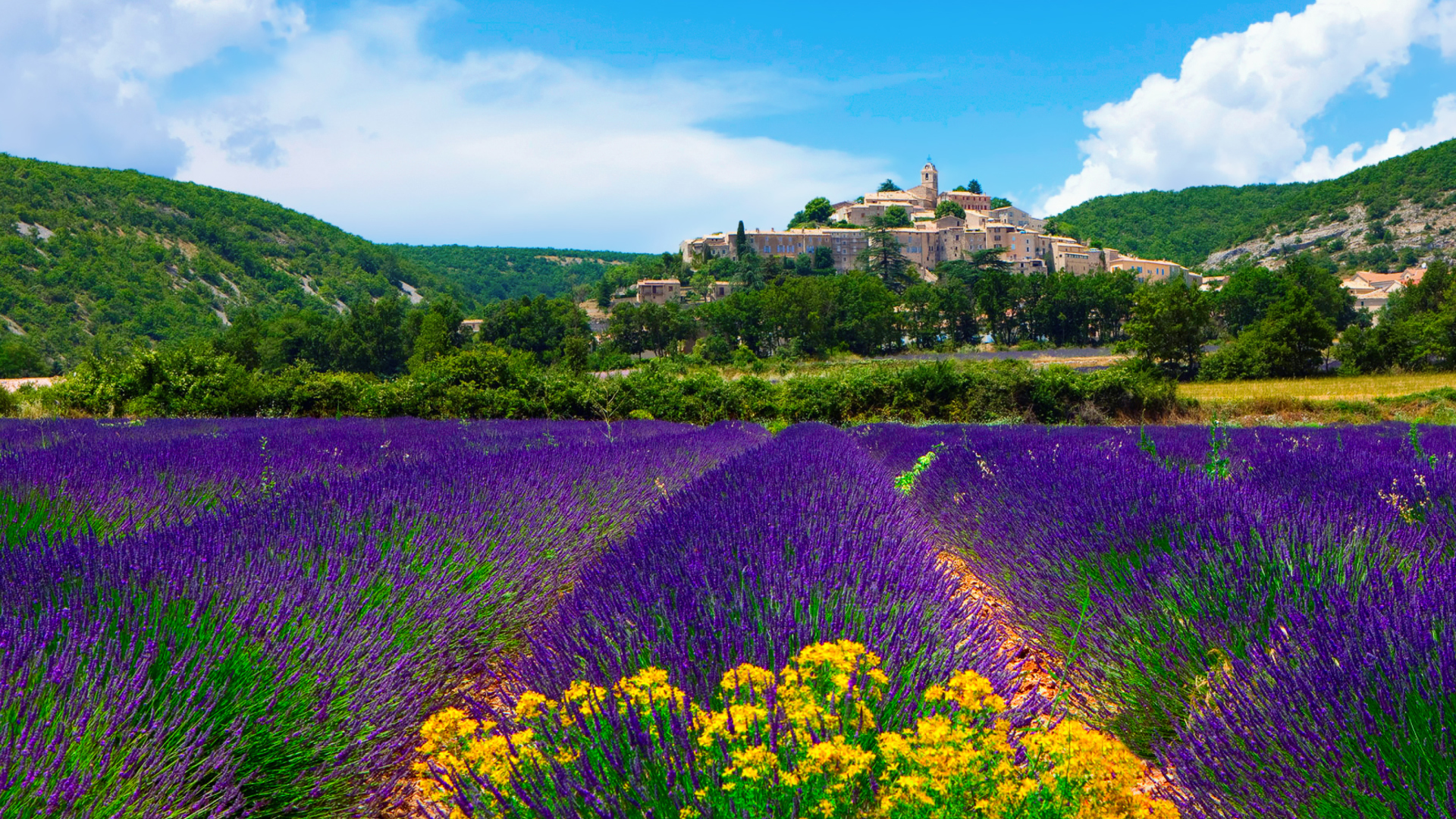 Lavender Field In Provence France Wallpaper For - Provence France - HD Wallpaper 