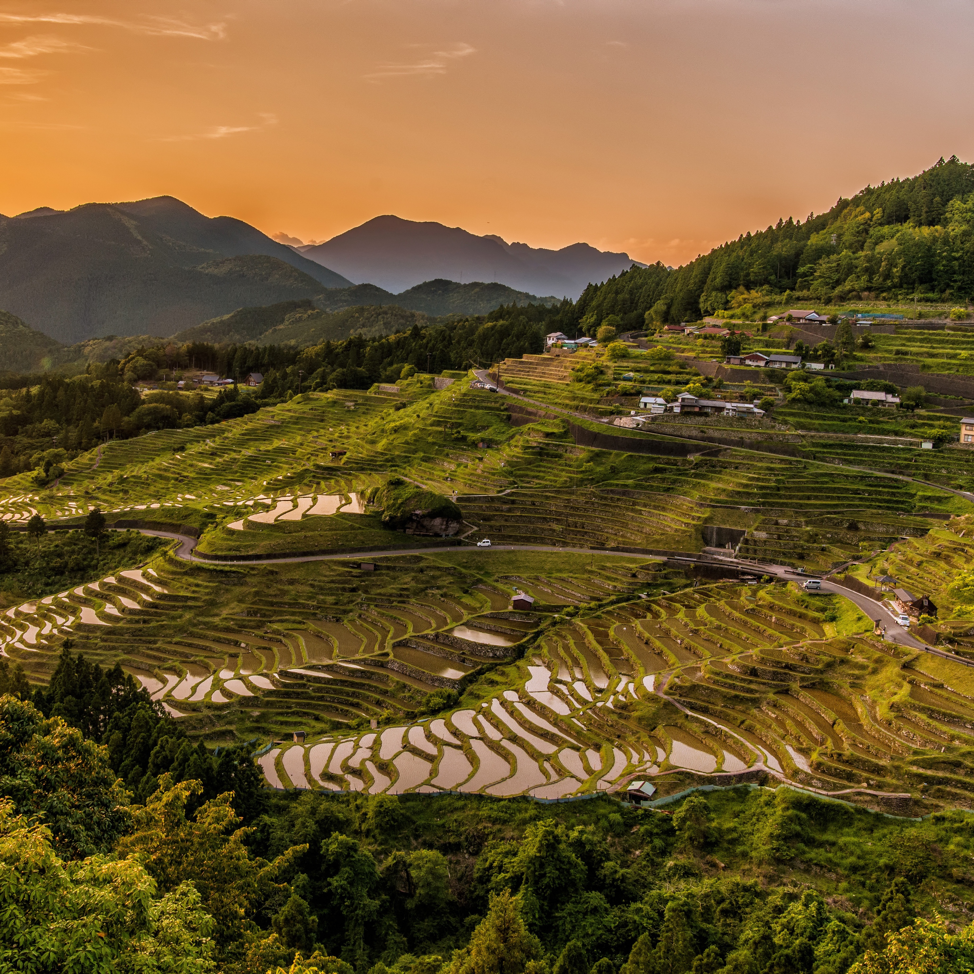 Wallpaper Rice Fields, Uplands, Structure, Cultivation, - Landscape Meaning In Hindi - HD Wallpaper 