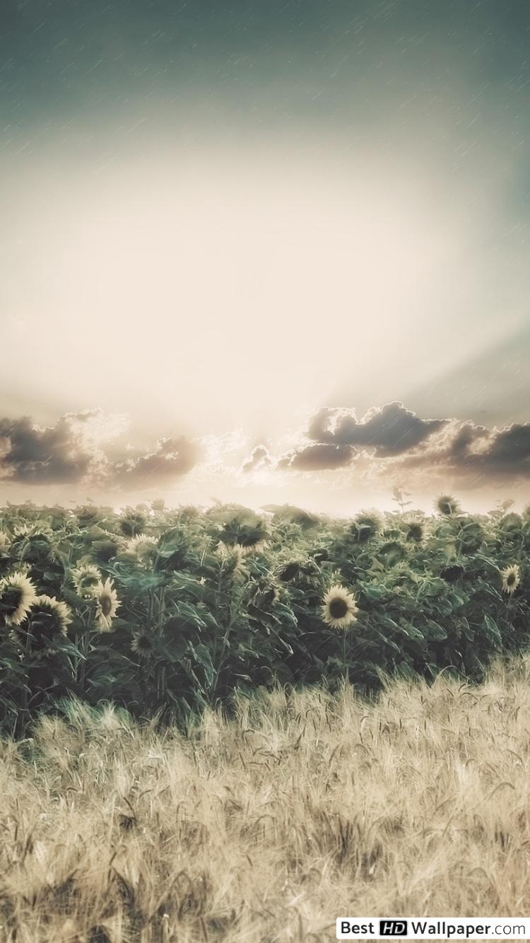 Hosea 12 5 - HD Wallpaper 