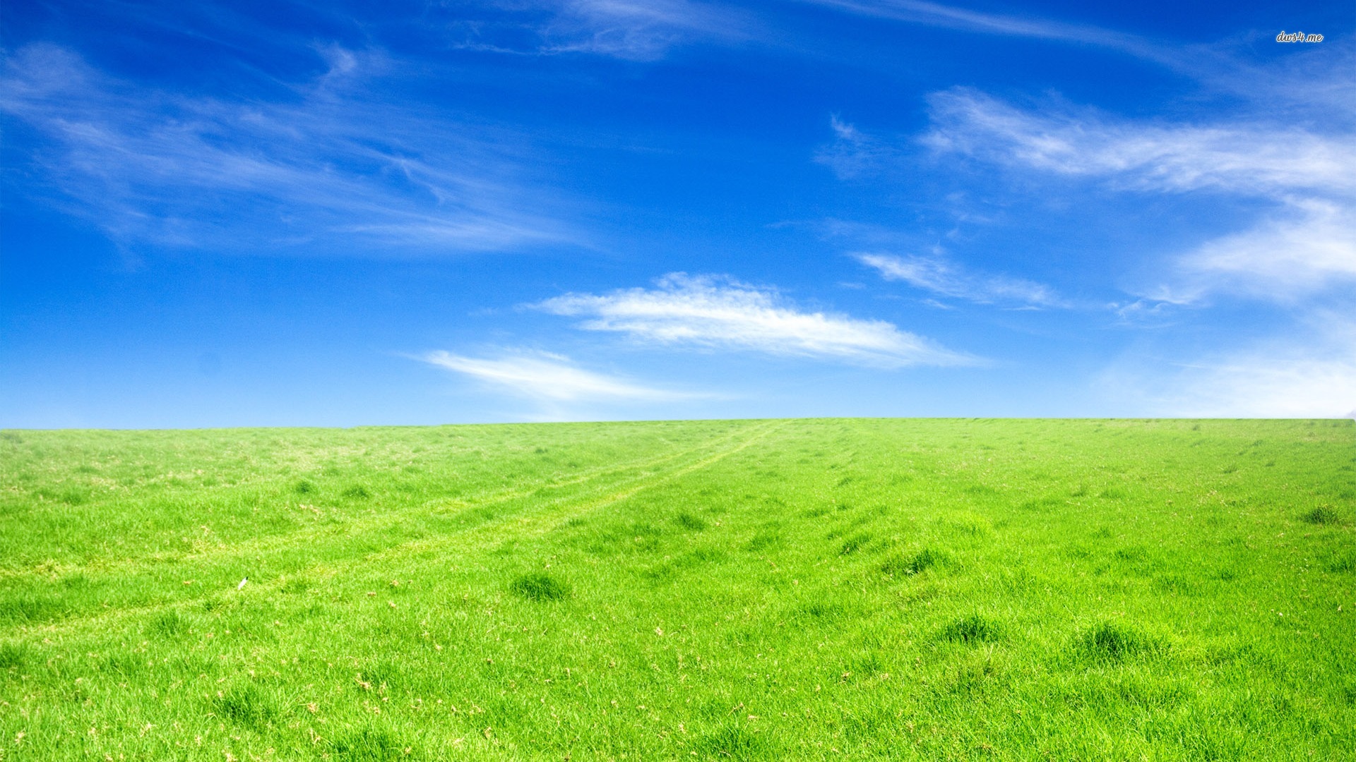 Best Green Field - Sky Nature Background - HD Wallpaper 