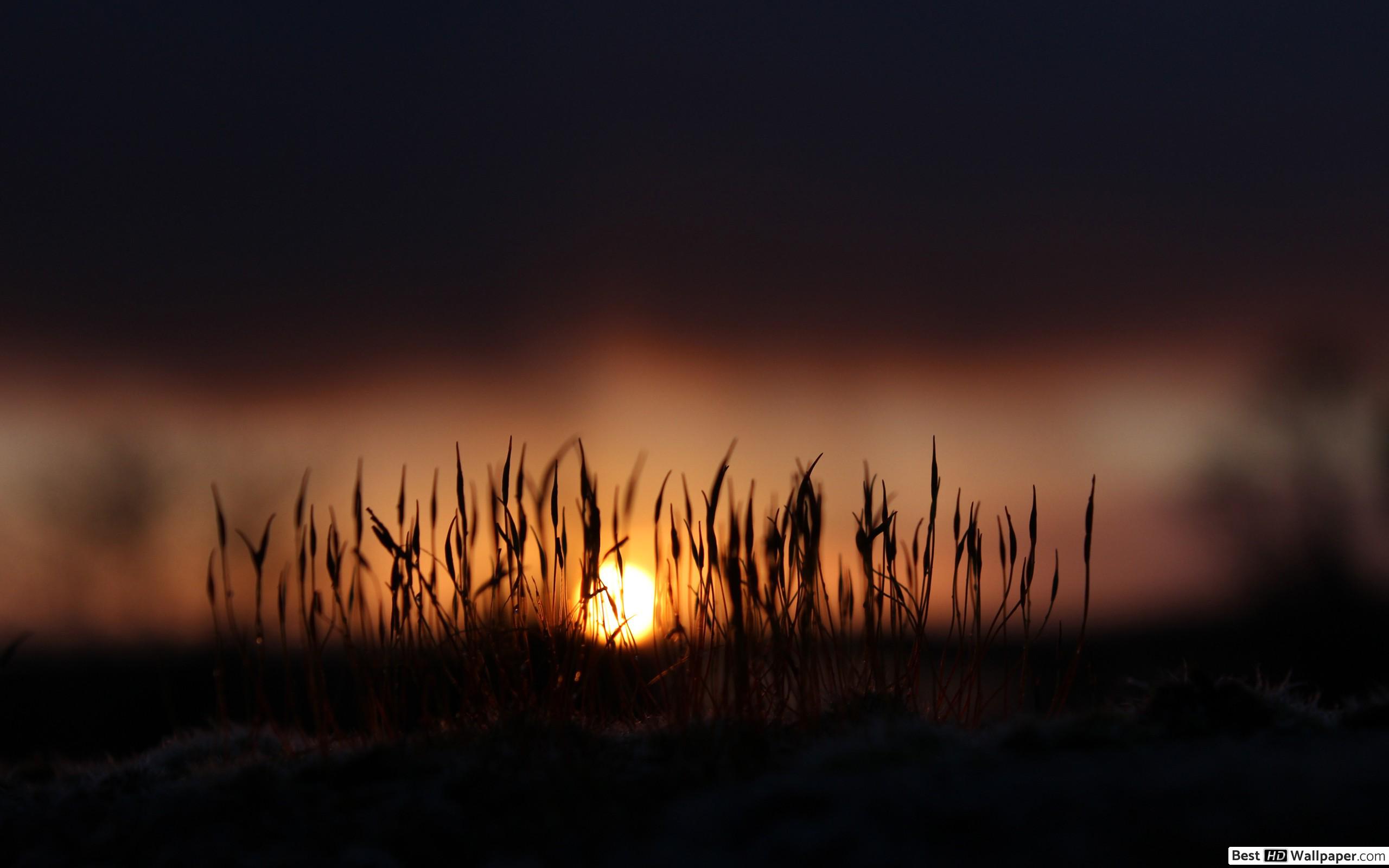 این بقیه الله التی لا تخلو - HD Wallpaper 