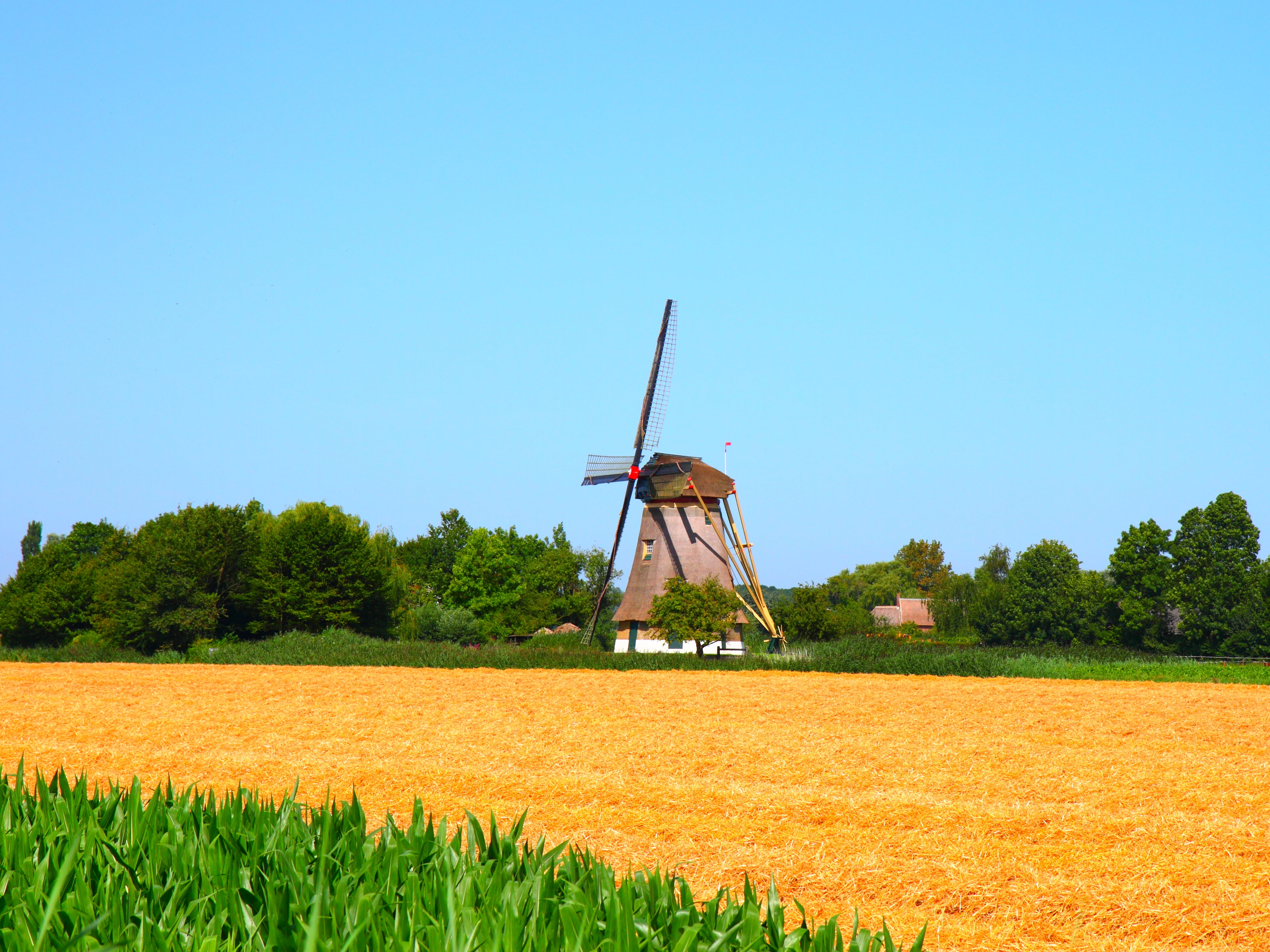 Wheat Field Windmill - HD Wallpaper 