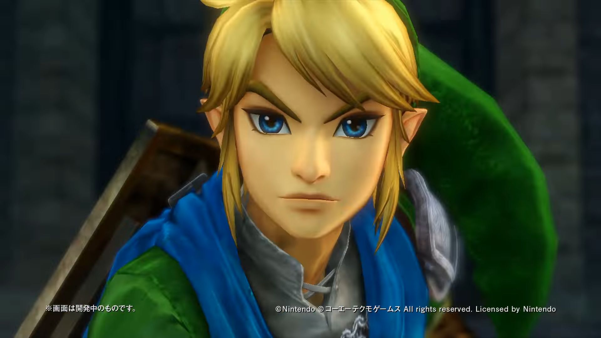 Hyrule Warriors - HD Wallpaper 