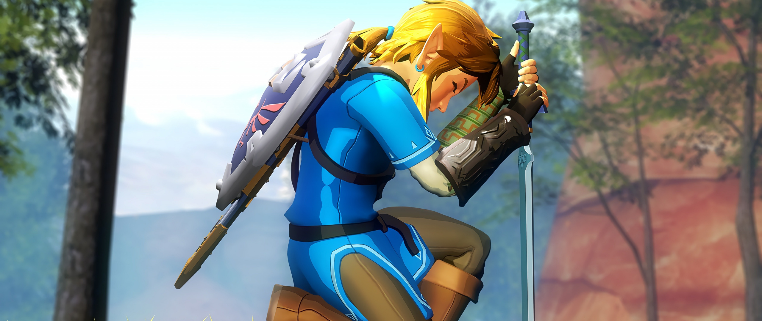 The Legend Of Zelda, Game, Video Game, Warrior, Wallpaper - Legend Of Zelda - HD Wallpaper 