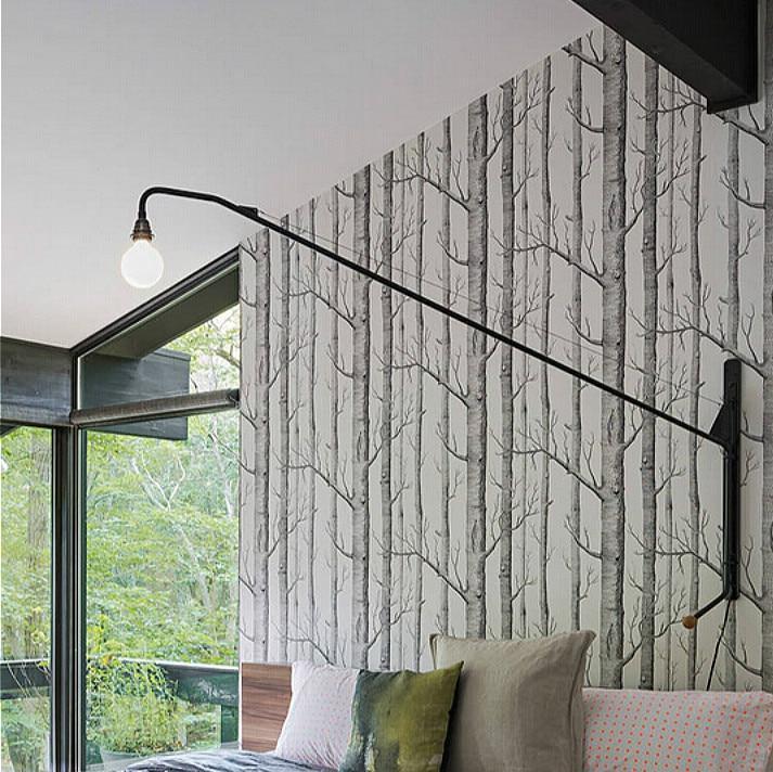 Papier Peint Bouleau - HD Wallpaper 