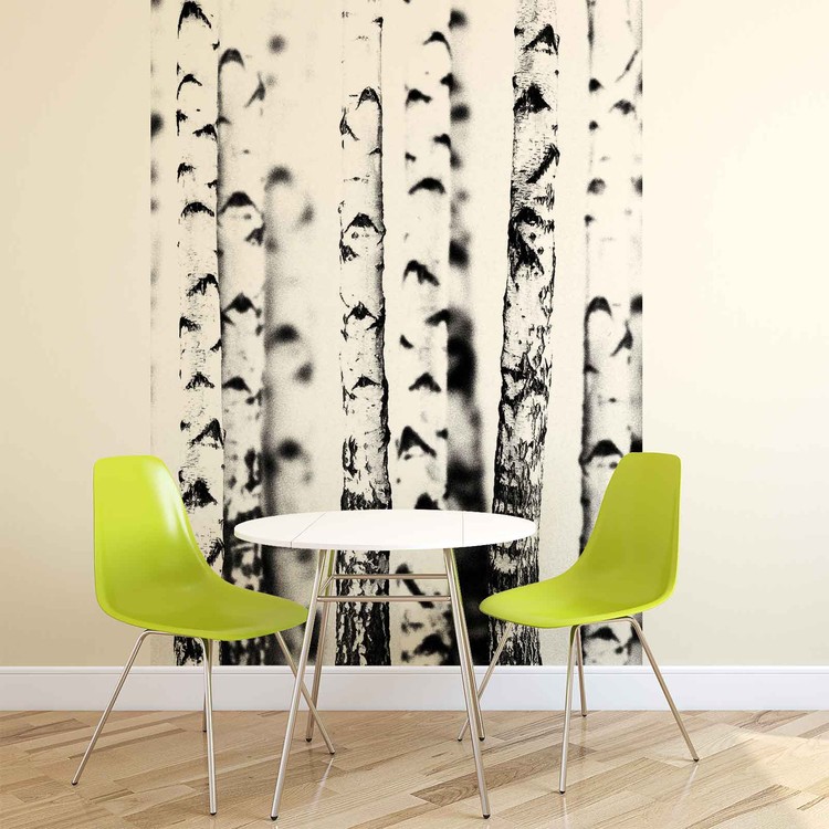 Birch Trees Wallpaper Mural - Papier Peint Noir Et Blanc Bouleau - HD Wallpaper 