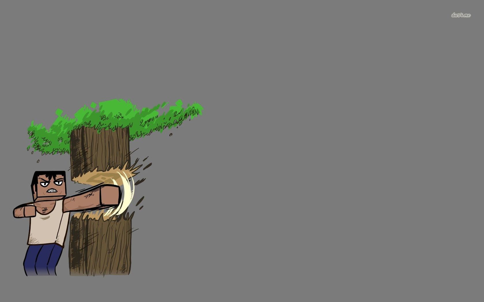 Minecraft Girl Wallpaper - HD Wallpaper 