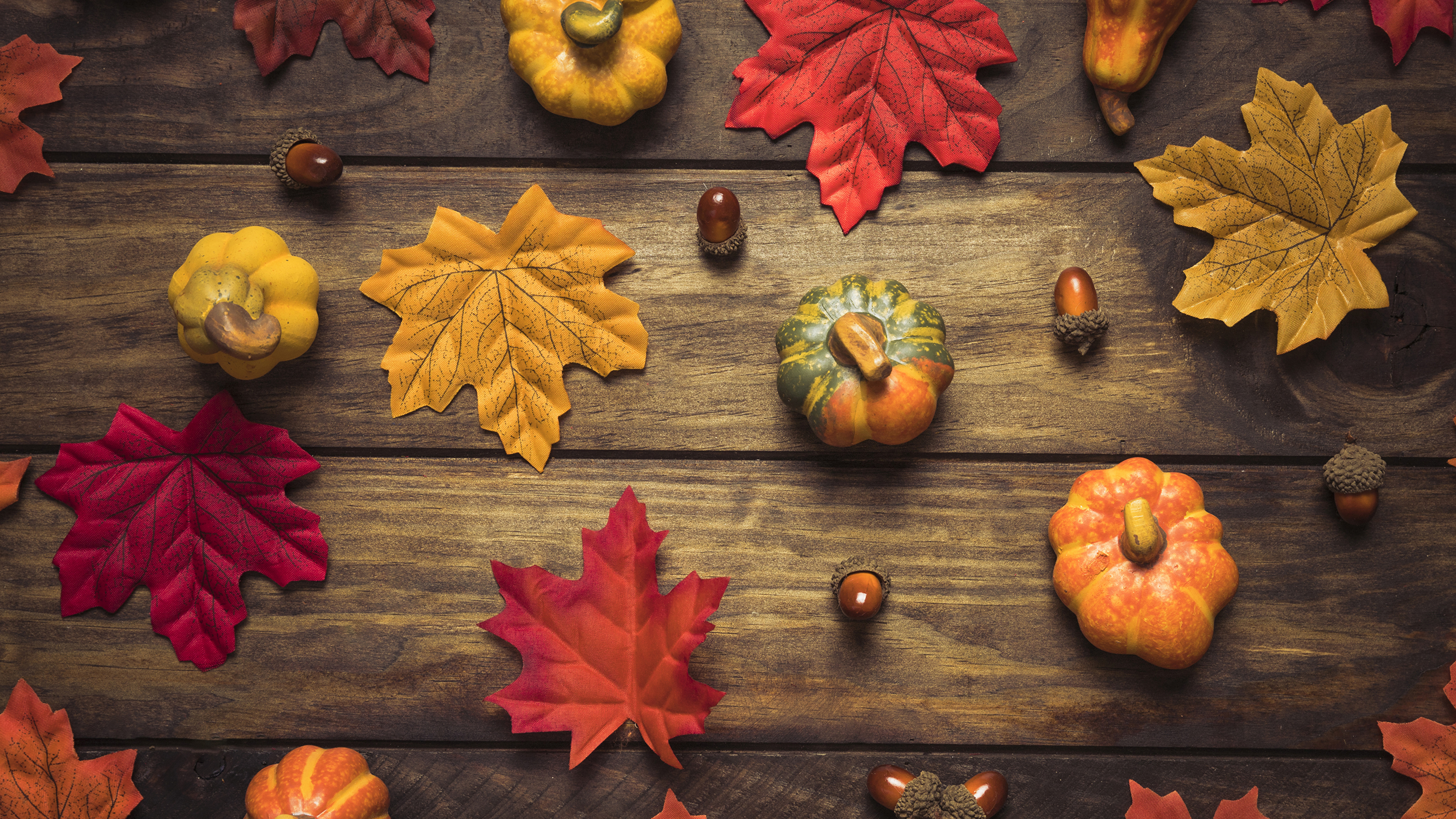 Autumn Pumpkin - HD Wallpaper 
