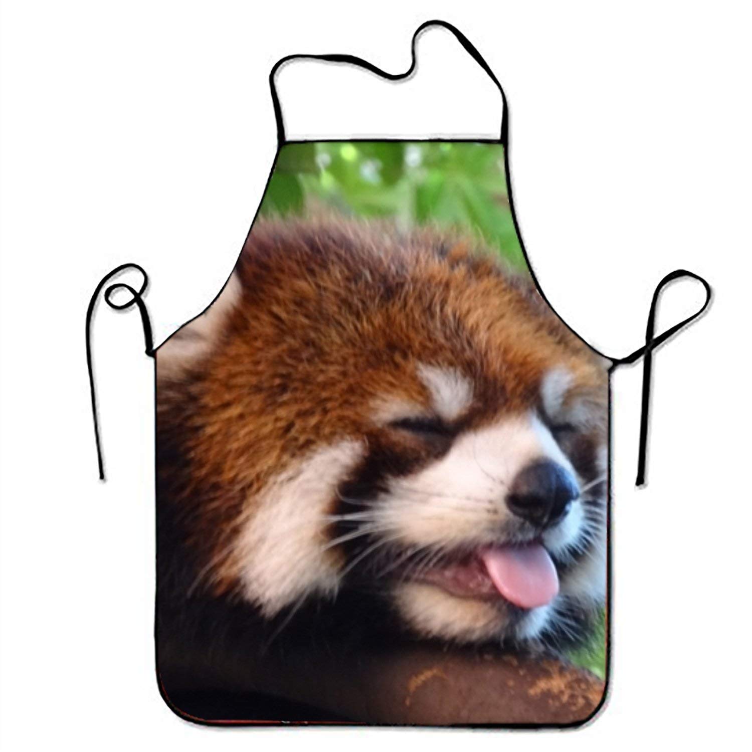 Red Panda - HD Wallpaper 