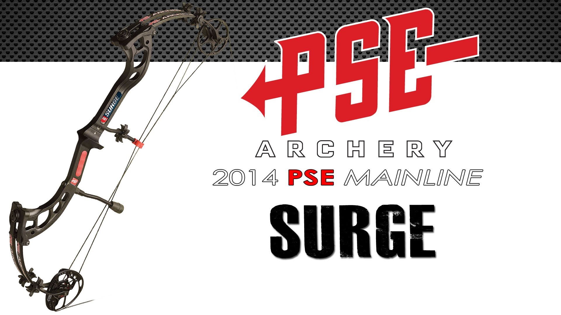 Wallpaper Of Pse Archery In Hd Quality - Target Archery - HD Wallpaper 