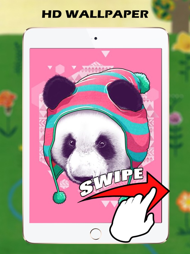 Pandas Hipsters - HD Wallpaper 
