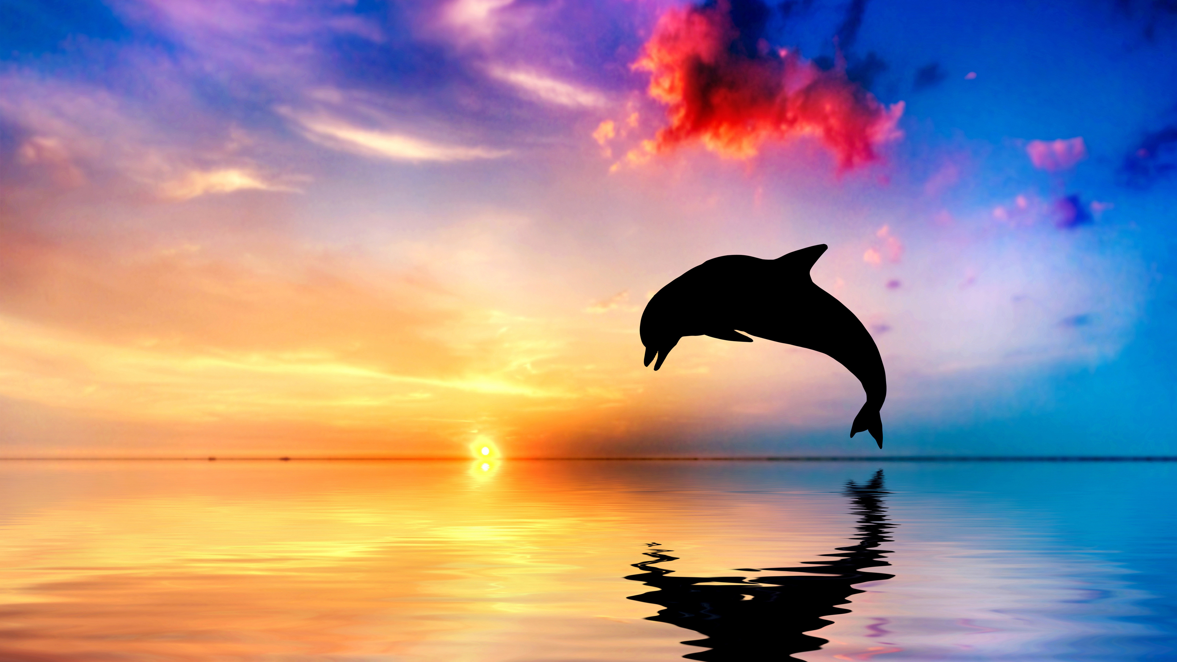 Dolphin Jumping Out Of Water Sunset View 4k - Beautiful Ocean And Sunset With Dolphin Jumping - HD Wallpaper 