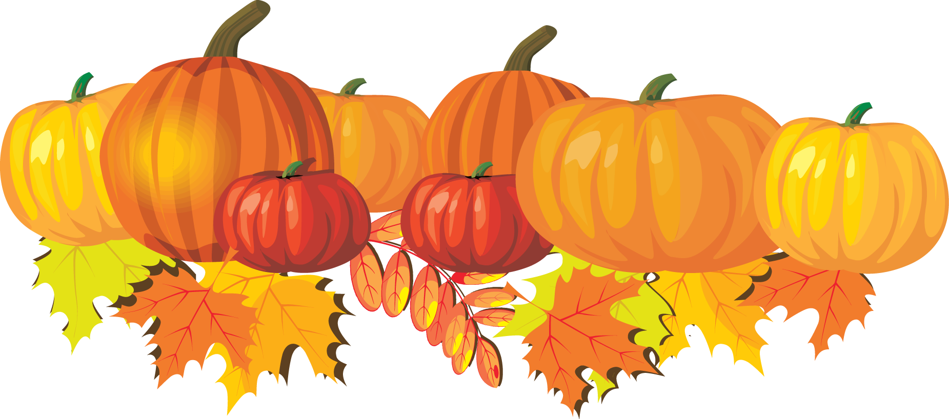 Pumpkin Clipart Wallpaper For Fall Transparent Stock - Fall Pumpkins Clipart - HD Wallpaper 
