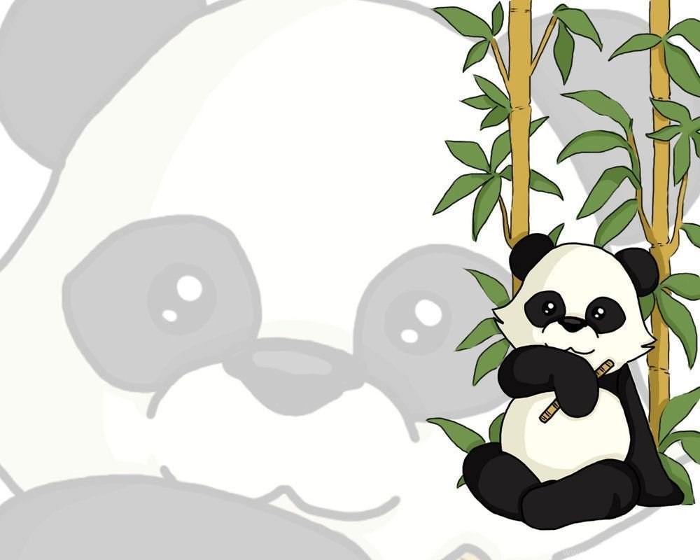 Background Kartun Panda - HD Wallpaper 