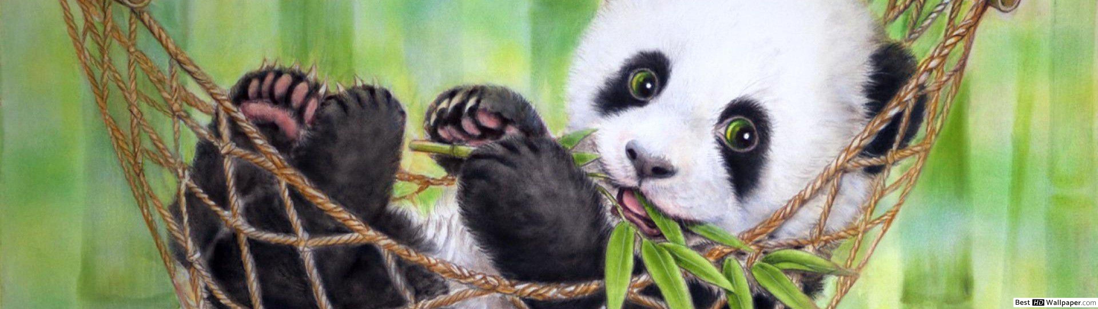Cute Panda Bear - HD Wallpaper 