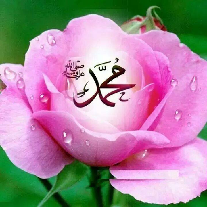 Muhammad Name In Flower - Muhammad Flower - HD Wallpaper 