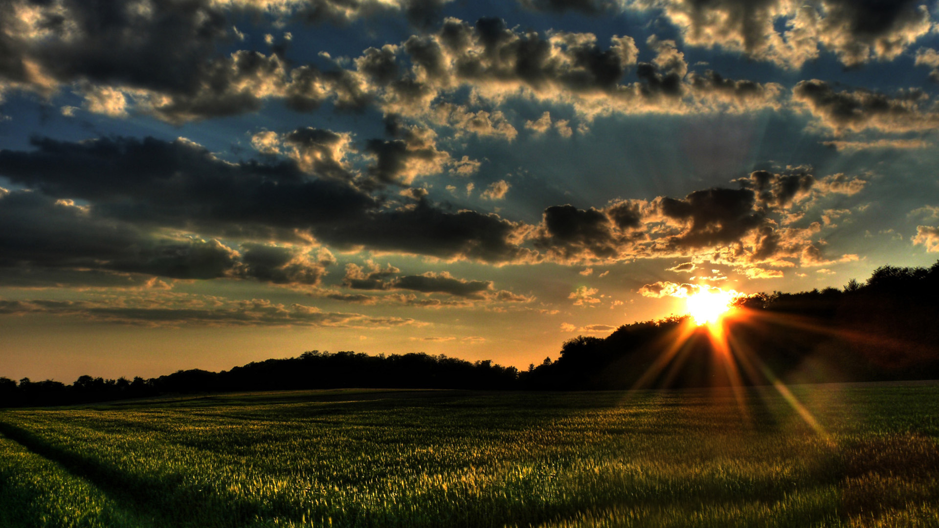 Shining, Sunrise, Nature, Sky, Background, Golden, - Most Beautiful  Backgrounds Hd - 1920x1080 Wallpaper 