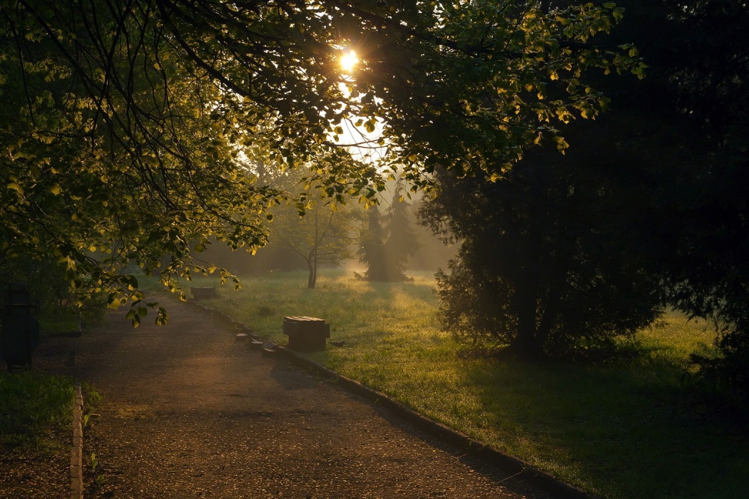 Beautiful Park Shining - Donde Termina El Esfuerzo Comienza El Fracaso - HD Wallpaper 